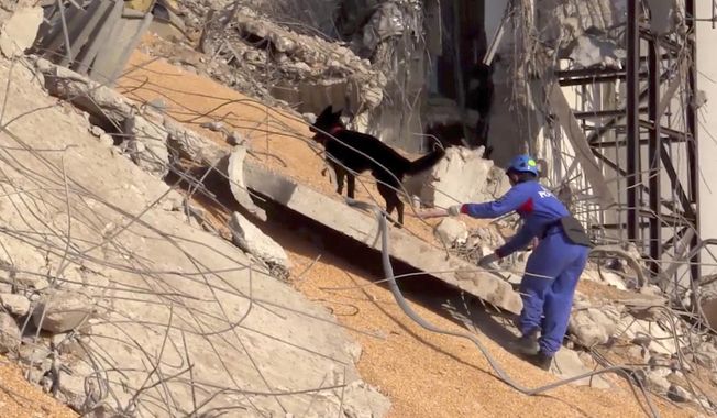 In this photo taken from footage provided by the Russian Emergency Situations Ministry press service, a Russian Emergency Situations employee works with his sniffer dog on the site of the explosion in the port of Beirut, Lebanon, on Thursday, Aug. 6, 2020. Russia&#x27;s emergency officials say the country sent five planeloads of aid to Beirut after an explosion in the Lebanese capital&#x27;s port killed at least 100 people and injured thousands on Tuesday. (AP Photo/Ministry of Emergency Situations press service via AP)