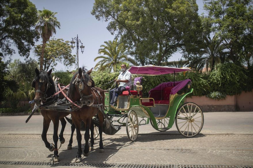 Mohammed El Garbouh, a horse carriage owner, waits for customers in the landmark Jemma el-Fnaa in Marrakech, Morocco, Wednesday, July 22, 2020. Morocco's restrictions to counter the coronavirus pandemic have taken a toll on the carriage horses in the tourist mecca of Marrakech. Some owners struggle to feed them, and an animal protection group says hundreds of Morocco's horses and donkeys face starvation amid the collapsing tourism industry. (AP Photo/Mosa'ab Elshamy)
