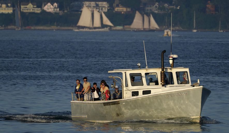 Tourists relax the use of their pandemic masks while gathered to view a seal swimming near their tour boat, Monday, Aug. 10, 2020, off Portland, Maine. The state has one of the lowest number of coronavirus cases in the country. (AP Photo/Robert F. Bukaty)