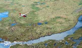 In this undated photo provided by the U.S. Fish and Wildlife Service, an airplane flies over caribou from the Porcupine Caribou Herd on the coastal plain of the Arctic National Wildlife Refuge in northeast Alaska. The Department of the Interior has approved an oil and gas leasing program within Alaska’s Arctic National Wildlife Refuge. The refuge is home to polar bears, caribou and other wildlife. Secretary of the Interior David Bernhardt signed the Record of Decision, which will determine where oil and gas leasing will take place in the refuge’s coastal plain.  (U.S. Fish and Wildlife Service via AP)
