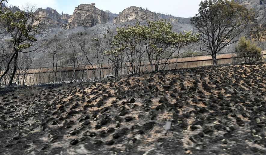 Charred remains from The Grizzly Creek Fire can be seen along the medians of I-70 in Glenwood Canyon , Monday, Aug. 17, 2020 near Glenwood Springs, Colo. Four large wildfires continue to burn in hot and dry weather in Colorado. (Helen H. Richardson/The Denver Post via AP)