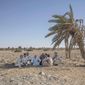 55-year-old Egyptian farmer Makhluf Abu Kassem, center, sits with farmers under shade of a dried up palm tree surrounded by barren wasteland that was once fertile and green, in Second Village, Qouta town, Fayoum, Egypt, Wednesday, Aug. 5, 2020. Abu Kassem fears that a dam Ethiopia is building on the Blue Nile, the Nile&#39;s main tributary, could add to the severe water shortages already hitting his village if no deal is struck to ensure a continued flow of water. &amp;quot;The dam means our death,&amp;quot; he said. (AP Photo/Nariman El-Mofty)
