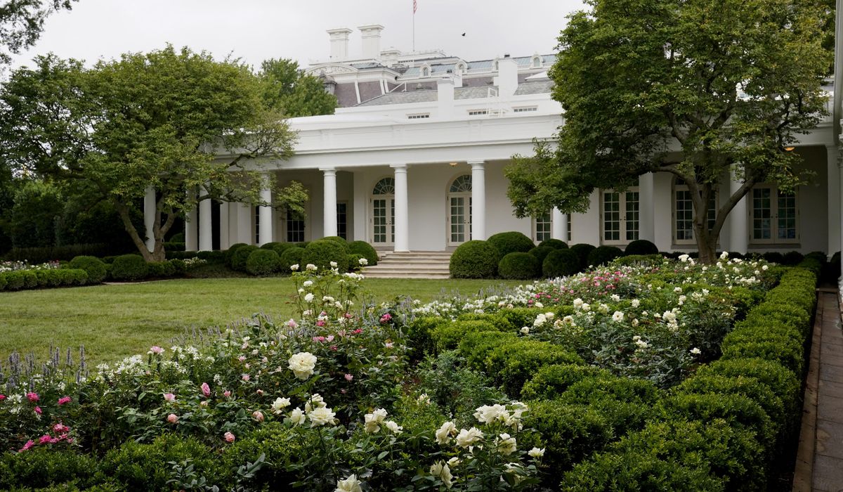 NextImg:Trump eyes paving over Rose Garden as part of White House makeover