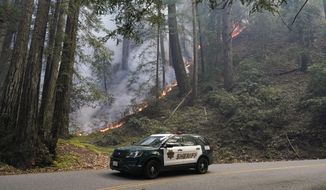 A police vehicle is seen under a forest being burned by the CZU August Lightning Complex Fire Monday, Aug. 24, 2020 near in Bonny Doon, Calif. (AP Photo/Marcio Jose Sanchez)