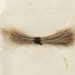 This July 2020 photo released by RR Auction shows a lock of hair from former President Abraham Lincoln, to be auctioned Sept. 12, 2020, by the Boston-based auction firm. The lock of hair was removed during Lincoln&#39;s postmortem examination in April 1865 after he was fatally shot by John Wilkes Booth at Ford&#39;s Theatre in Washington. (Nikki Brickett/RR Auction via AP)