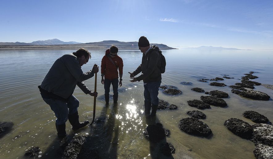 In this Nov. 2017 photo, researchers gather rock-like structures along the shores of at the Great Salt Lake that are formed by cyanobacteria known as microbialites. Bold water conservation strategies and changes in long-standing law and water policies are needed to slow the alarming shrinking of the Great Salt Lake. A recent report from an by an advisory panel found upstream diversions have long prevented vast quantities from replenishing the lake, reducing the lake by half its normal size with further declines predicted. (Francisco Kjolseth/The Salt Lake Tribune via AP)