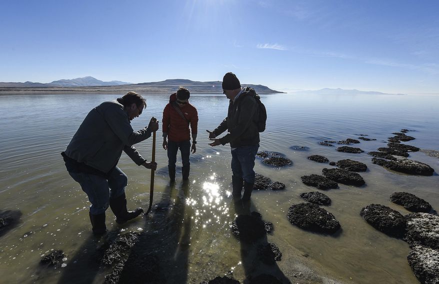 In this Nov. 2017 photo, researchers gather rock-like structures along the shores of at the Great Salt Lake that are formed by cyanobacteria known as microbialites. Bold water conservation strategies and changes in long-standing law and water policies are needed to slow the alarming shrinking of the Great Salt Lake. A recent report from an by an advisory panel found upstream diversions have long prevented vast quantities from replenishing the lake, reducing the lake by half its normal size with further declines predicted. (Francisco Kjolseth/The Salt Lake Tribune via AP)