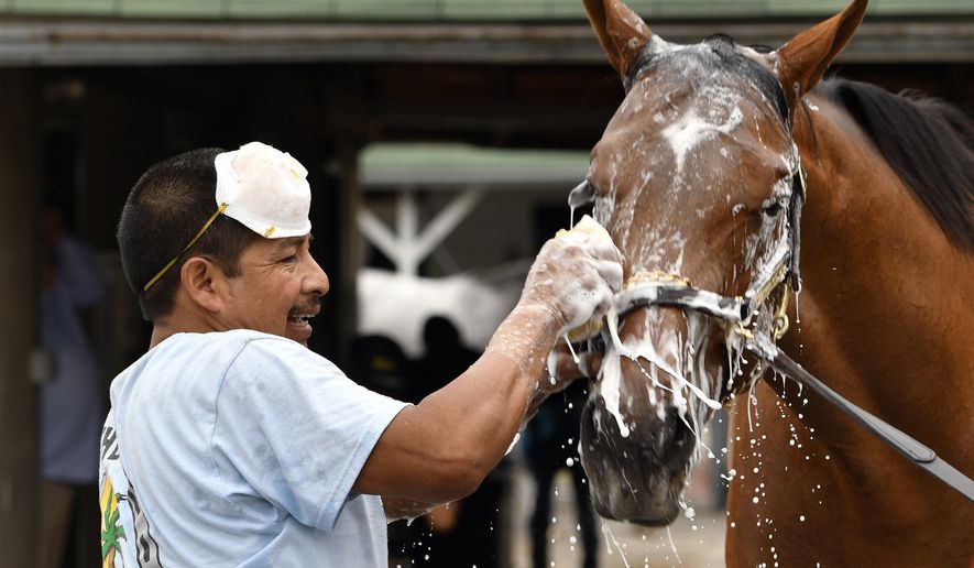 FILE - In this April 19, 2017 file photo, groom Cesar Abrego gives a bath to one of the horses being trained by Dale Romans following his morning workout at Churchill Downs in Louisville, Ky. Abrego came from Guatemala on an H-2B visa.  The Trump administration’s immigration squeeze and the hardships caused by the coronavirus pandemic threaten to leave the horse racing industry short of workers, racing officials warn as they prepare for a reconfigured Kentucky Derby. (AP Photo/Timothy D. Easley)