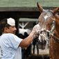 FILE - In this April 19, 2017 file photo, groom Cesar Abrego gives a bath to one of the horses being trained by Dale Romans following his morning workout at Churchill Downs in Louisville, Ky. Abrego came from Guatemala on an H-2B visa.  The Trump administration’s immigration squeeze and the hardships caused by the coronavirus pandemic threaten to leave the horse racing industry short of workers, racing officials warn as they prepare for a reconfigured Kentucky Derby. (AP Photo/Timothy D. Easley)
