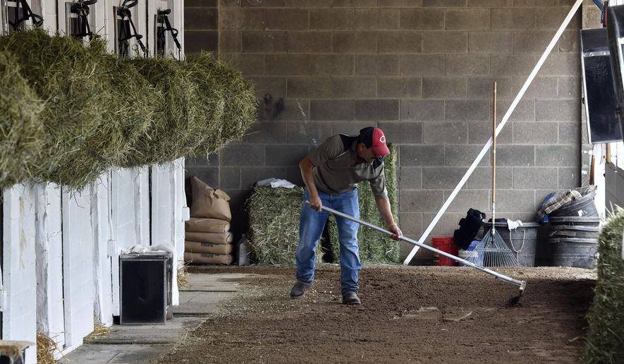 In this April 19, 2017 file photo, barn worker Jose Cesada, an immigrant worker in the United States on an H-2B visa, rakes the cool down path at the barn of trainer Dale Romans on the backside at Churchill Downs in Louisville, Ky. (AP Photo/Timothy D. Easley, File)