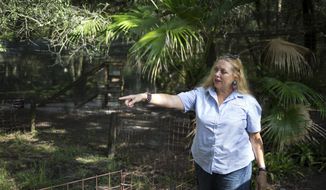In this July 20, 2017, file photo, Carole Baskin, founder of Big Cat Rescue, walks the property near Tampa, Fla. The family of Don Lewis, a Florida man who disappeared in 1997 and who appeared on the hit TV series “Tiger King,” has hired a lawyer and is offering $100,000 in exchange for information to help solve the case. Attorney John Phillips held a news conference Monday, Aug. 10, 2020, and announced the investigation into Don Lewis’ disappearance.  (Loren Elliott/Tampa Bay Times via AP, File)