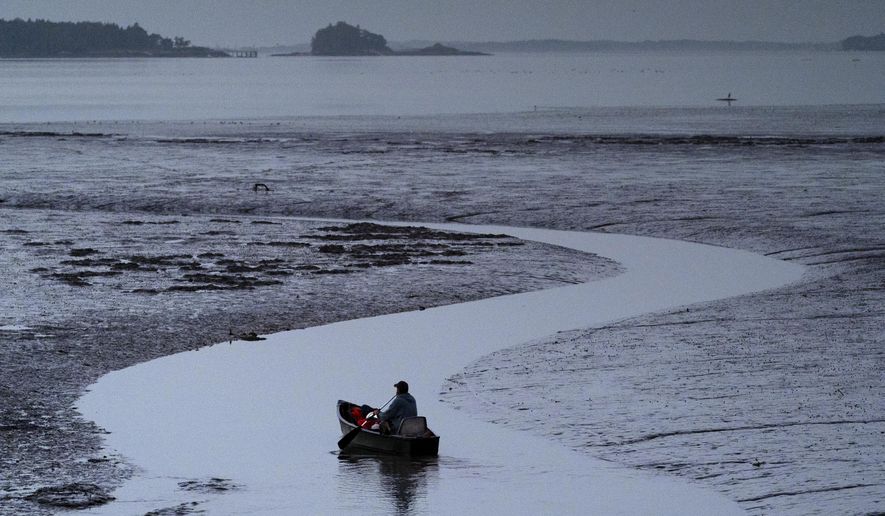 Clam digger Scott Lavers paddles his canoe on his way to work on a mudflat exposed by the receding tide at dawn, Friday, Sept. 4, 2020, in Freeport, Maine. (AP Photo/Robert F. Bukaty)