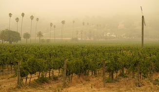 Smoke and haze from wildfires hovers over a vineyard Thursday morning, Sept. 10, 2020, in Sonoma, Calif. (AP Photo/Eric Risberg)