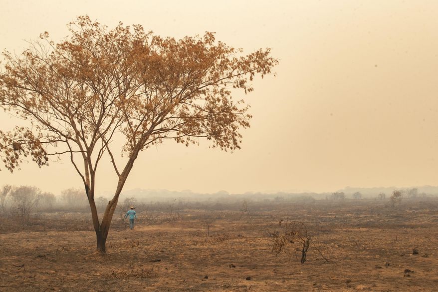 An recently burned area at the Encontro das Aguas park at the Pantanal wetlands near Pocone, Mato Grosso state, Brazil, Saturday, Sept. 12, 2020. Wildfire has infiltrated the park as the number of fires at the world&#39;s biggest tropical wetlands has more than doubled in the first half of 2020, according to data released by a state institute. (AP Photo/Andre Penner)