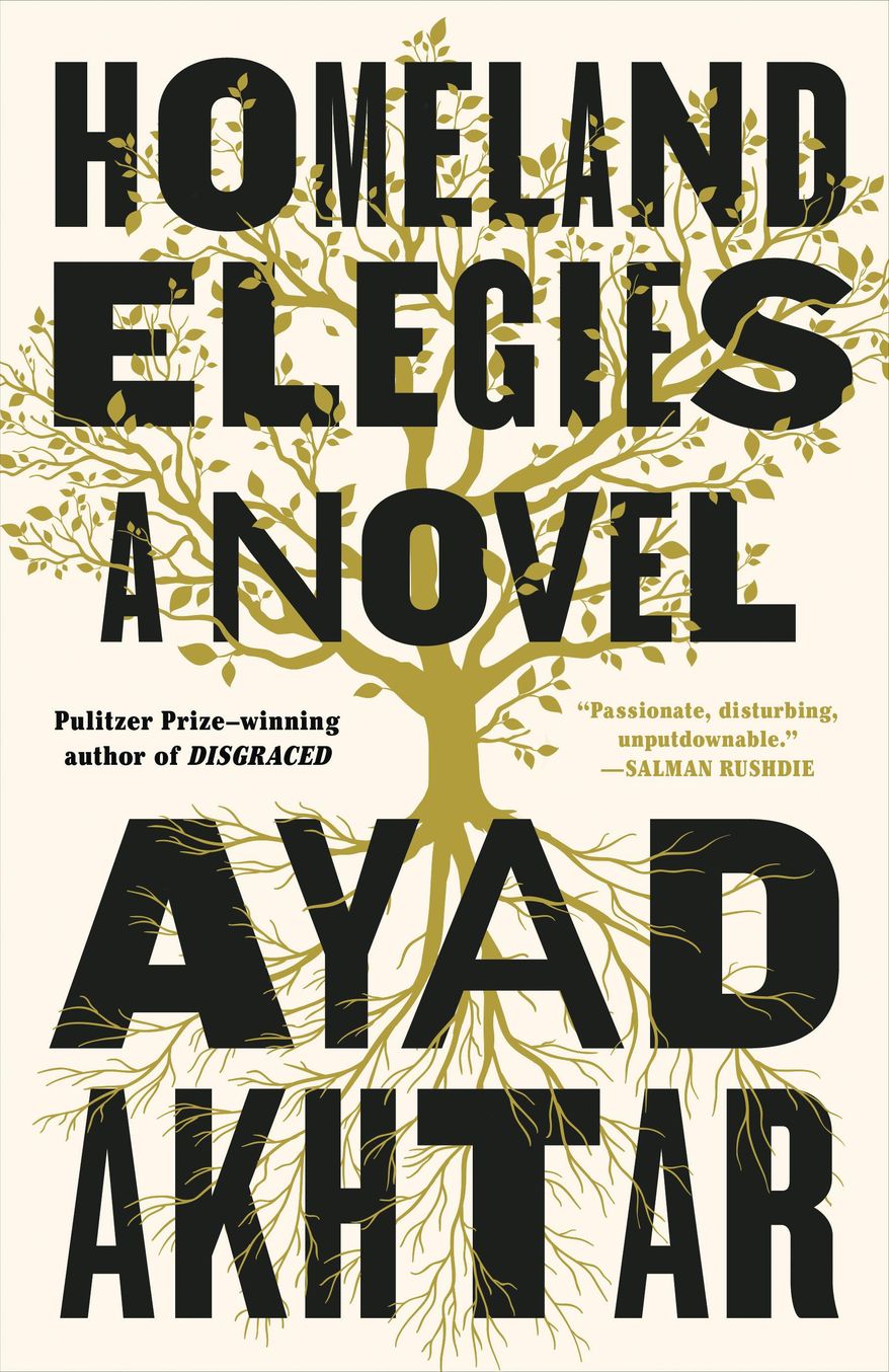 This cover image released by Little, Brown and Co. shows "Homeland Elegies," a novel by Ayad Akhtar. (Little, Brown and Co. via AP)