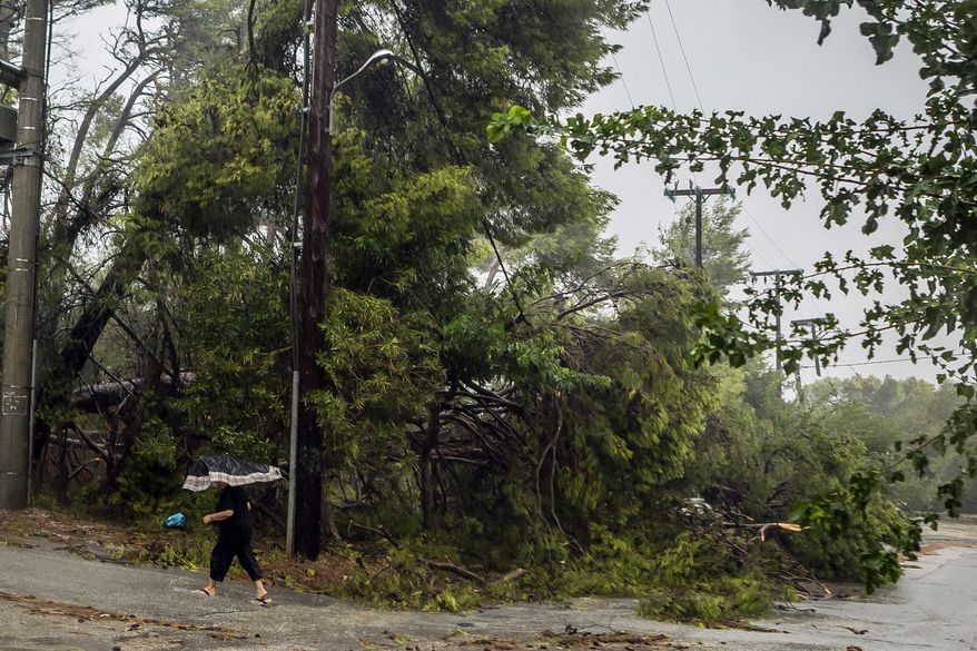A woman uses an umbrella as she passes next to fallen trees during a storm at the port of Argostoli, on the Ionian island of Kefalonia, western Greece, Friday, Sept. 18, 2020. A powerful tropical-like storm named Ianos battered the western islands of Zakynthos, Kefalonia, and Ithaki overnight, causing flash flooding, property damage, power outages, and road closures mostly from downed trees, police and local authorities said. (AP Photo/Nikiforos Stamenis)
