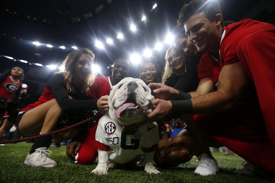 Georgia cheerleaders pose with the school mascot "Uga" before the Sugar Bowl NCAA college football game against Baylor in New Orleans, Wednesday, Jan. 1, 2020. Football is being played in the Power Five conferences, but many of the longstanding traditions that go along with the games are on hold during the pandemic. Georgia's white English bulldog Uga and other live animal mascots won't be in SEC stadiums because of the conference's precautions against coronavirus. (AP Photo/Brett Duke, file) **FILE**