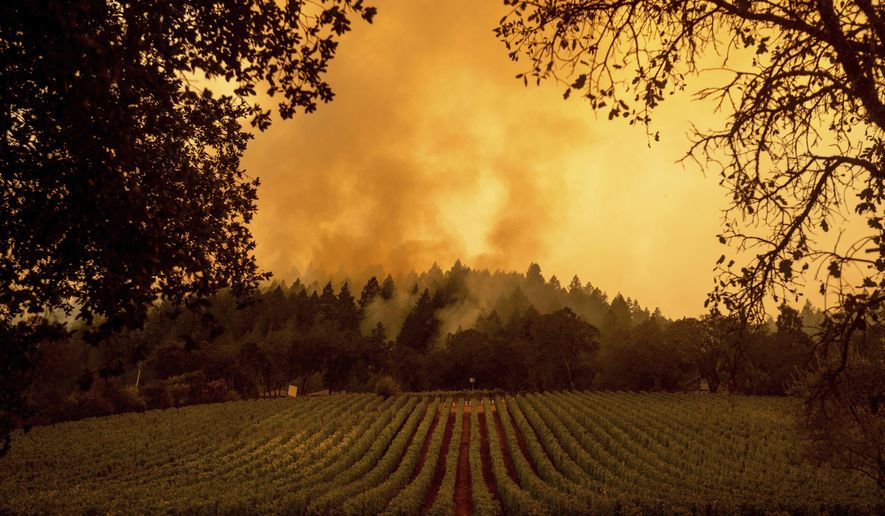Smoke rises over a vineyard as the Glass Fire burns, Monday, Sept. 28, 2020, in Calistoga, Calif. (AP Photo/Noah Berger)