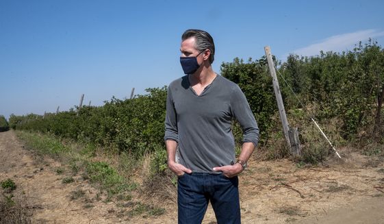 California Gov. Gavin Newsom tours Sierra Orchards walnut farm in Winters, Calif. in Solano County on Wednesday, Oct. 7, 2020. Newsom signed an executive order Wednesday to protect nearly a third of California’s land and coastal waters in his latest effort to fight climate change that he has blamed for recent record-breaking wildfires. (Renée C. Byer/The Sacramento Bee via AP, Pool)
