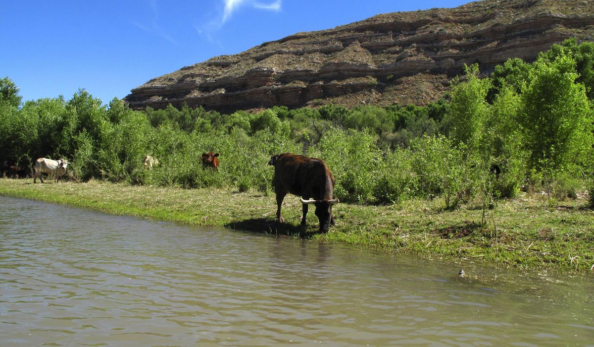 NextImg:U.S. Forest Service finalizes land exchange with Yavapai-Apache Nation