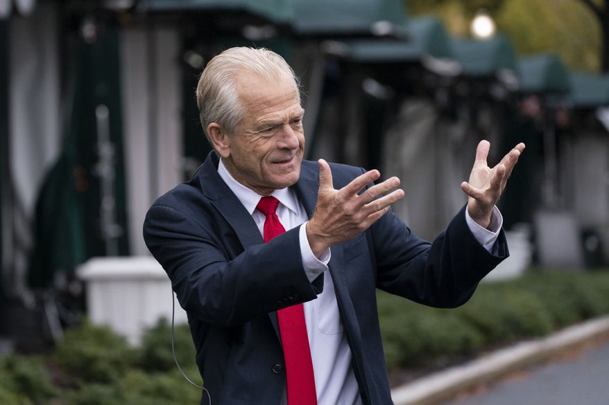 White House trade adviser Peter Navarro gestures while speaking to a reporter at the White House, Monday, Oct. 12, 2020, in Washington. (AP Photo/Alex Brandon) **FILE**
