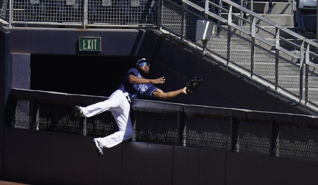 Tampa Bay Rays right fielder Manuel Margot reaches over a right field wall after catching a foul ball by Houston Astros center fielder George Springer during the second inning in Game 2 of a baseball American League Championship Series, Monday, Oct. 12, 2020, in San Diego.(AP Photo/Gregory Bull)