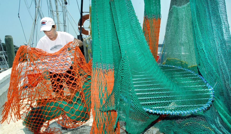 FILE - In this June 22, 2011, file photo, Tina Toomer, of the Bluffton Oyster Co., shows off the new net and turtle excluder device installed on the shrimp boat "Daddy's Girls." Louisiana will help inshore shrimpers buy turtle escape hatches that will be required next year for some boats, Gov. John Bel Edwards said Tuesday, Oct. 13, 2020. The program affects only Louisiana shrimpers requiring turtle excluder devices in some skimmer trawls to take effect in all Gulf and southeastern Atlantic states on April 1, 2021. (Jay Karr/The Island Packet via AP, File)