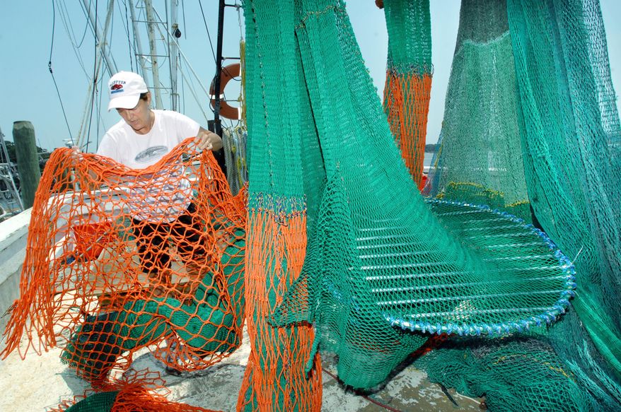 FILE - In this June 22, 2011, file photo, Tina Toomer, of the Bluffton Oyster Co., shows off the new net and turtle excluder device installed on the shrimp boat "Daddy's Girls." Louisiana will help inshore shrimpers buy turtle escape hatches that will be required next year for some boats, Gov. John Bel Edwards said Tuesday, Oct. 13, 2020. The program affects only Louisiana shrimpers requiring turtle excluder devices in some skimmer trawls to take effect in all Gulf and southeastern Atlantic states on April 1, 2021. (Jay Karr/The Island Packet via AP, File)