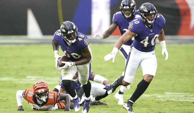 Baltimore Ravens inside linebacker Patrick Queen (48) collects a fumble by Cincinnati Bengals wide receiver Mike Thomas (80) while returning it for a 53-yard touchdown during the second half of an NFL football game, Sunday, Oct. 11, 2020, in Baltimore. The Ravens won 27-3. (AP Photo/Nick Wass)