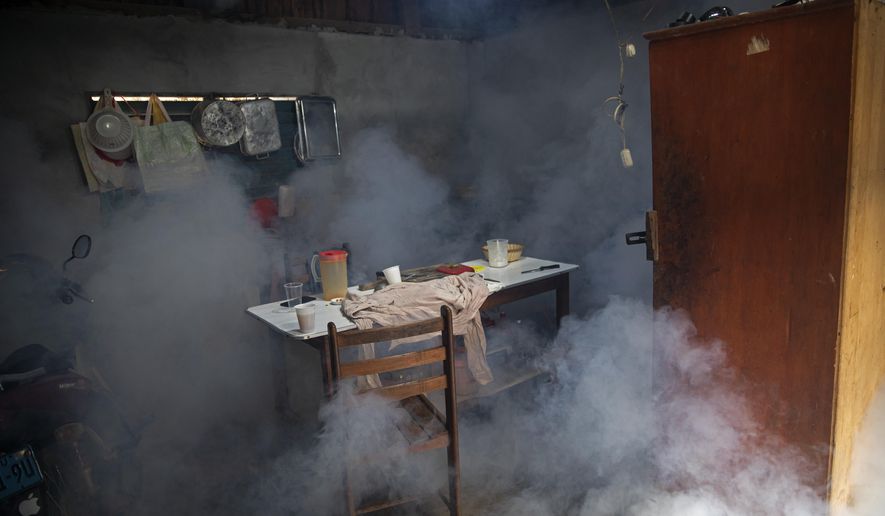 Clouds of insecticide seep into a dining room during a fumigation operation to help control the spread of dengue fever, in downtown Pucallpa, Peru, Tuesday, Sept. 29, 2020. As Peru grapples with one of the world's worst COVID-19 outbreaks, another epidemic is starting to raise alarm: Dengue. (AP Photo/Rodrigo Abd)