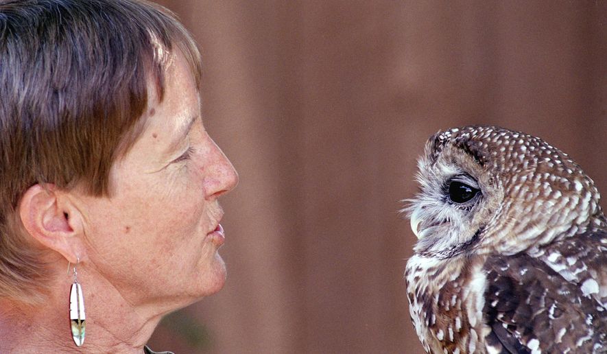 FILE - In this July 11, 2002, file photo, Kathleen Ramsay gets the attention of Manchado, a Mexican spotted owl at the Wildlife Center near Espanola, N.M. Environmentalists have reached an agreement with federal land and wildlife managers that will clear the way for forest restoration efforts to resume in the Southwest. A federal court had issued an injunction last year that limited timber activities and restoration projects on national forest lands in New Mexico and Arizona pending the outcome of a legal battle over the threatened Mexican spotted owl. (AP Photo/Neil Jacobs, File)