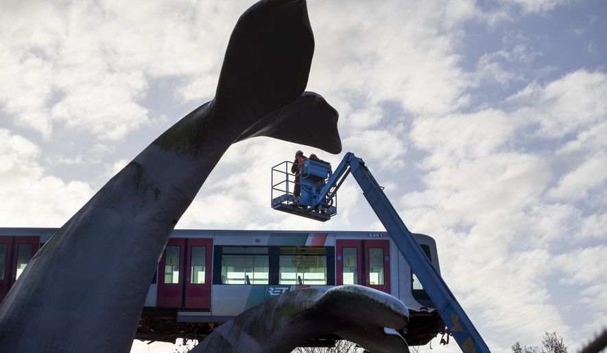 A salvaging crew prepares to attach chain to lift to a metro train carriage of the whale's tail of a sculpture after it rammed through the end of an elevated section of rails with the driver escaping injuries in Spijkenisse, near Rotterdam, Netherlands, Tuesday, Nov. 3, 2020. (AP Photo/Peter Dejong)