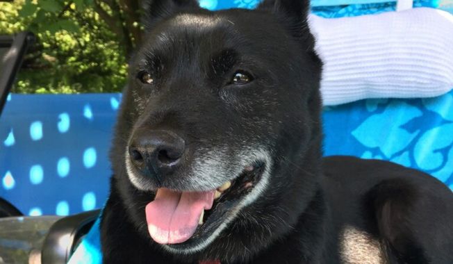 Gina  (Photo courtesy Andrew Napolitano)