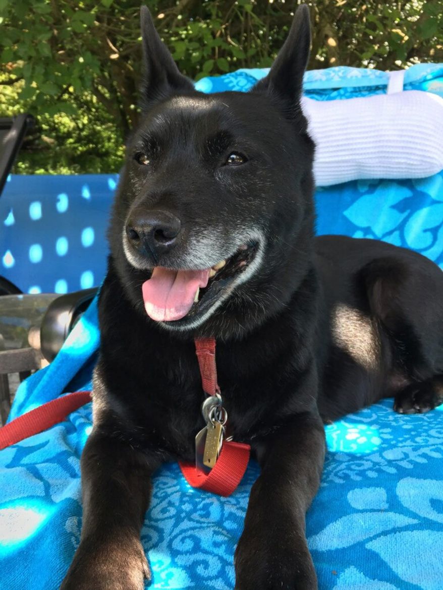 Gina (Photo courtesy Andrew Napolitano)