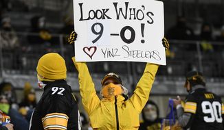A Pittsburgh Steelers fan holds a sign during the second half of an NFL football game between the Steelers and the Cincinnati Bengals in Pittsburgh, Sunday, Nov. 15, 2020. (AP Photo/Don Wright)
