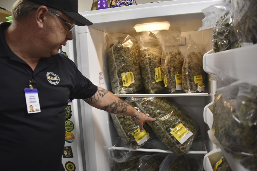 Montana Advanced Caregivers owner Richard Abromeit talks about different strains of marijuana stored in a refrigerator at the Billings, Mont., medical marijuana dispensary on Nov. 11, 2020. Recreational marijuana initiatives passed in four states this year, from liberal New Jersey to conservative Montana and South Dakota. The results prove how broadly accepted marijuana has become throughout the country and across party lines. (AP Photo/Matthew Brown)