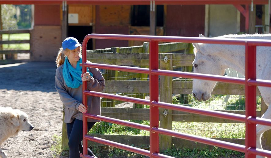Jessie Miller lets Buddy, a horse in his late 20&#39;s that Epic Farms rescued, into the large fenced pasture on the property Friday, Oct. 30, 2020. Jessie Miller runs Epic Farm, a farm animal rescue facility located on Lem Turner Road on Jacksonville&#39;s far north side. Miler started EPIC Animal Outreach, a nonprofit that provides educational outreach to children and adults using rescued farm animals that get to live out their lives on her 7-acre farm. (Bob Self /The Florida Times-Union via AP)