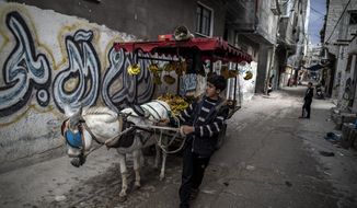 A Palestinian boy sells bananas on a donkey carte in an alley in the Shati refugee camp, in Gaza City, Wednesday, Nov. 25, 2020. Israel&#39;s blockade of the Hamas-ruled Gaza Strip has cost the seaside territory as much as $16.7 billion in economic losses and caused its poverty and unemployment rates to skyrocket, a U.N. report said Wednesday, as it called on Israel to lift the 13-year closure. (AP Photo/Khalil Hamra)
