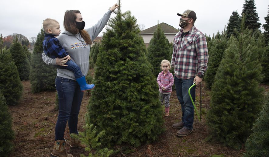 Josh and Jessica Ferrara shop for Christmas trees with son Jayce, 1 year and Jade, 3 years, at Sunnyview Christmas Tree farm on Saturday, Nov.  21, 2020 in Salem, Ore. It&#39;s early in the season, but both wholesale tree farmers and small cut-your-own lots are reporting strong demand, with many opening well before Thanksgiving. (AP Photo/Paula Bronstein)