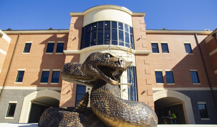 The new bronze rattle snake sculpture installed in front of the Center for Access and Student Success Building on Tuesday, Nov. 17, 2020. (Alicia Devine/Tallahassee Democrat via AP)