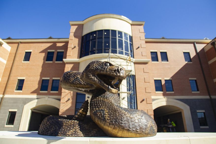 The new bronze rattle snake sculpture installed in front of the Center for Access and Student Success Building on Tuesday, Nov. 17, 2020. (Alicia Devine/Tallahassee Democrat via AP)