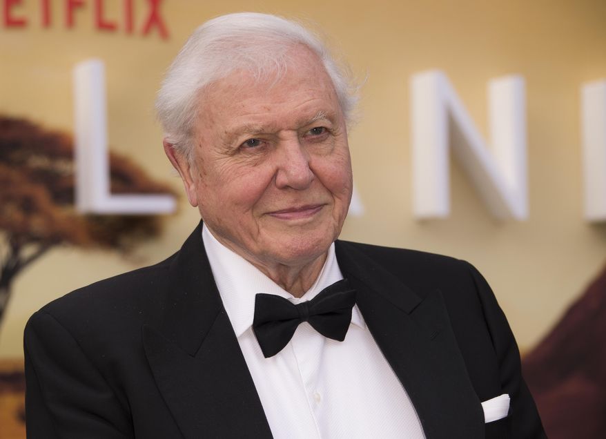 In this Thursday, April 4, 2019 file photo, Sir David Attenborough poses for photographers upon his arrival for the premiere of a new series of Our Planet, at the Natural History Museum in central London. (Photo by Joel C Ryan/Invision/AP, File)