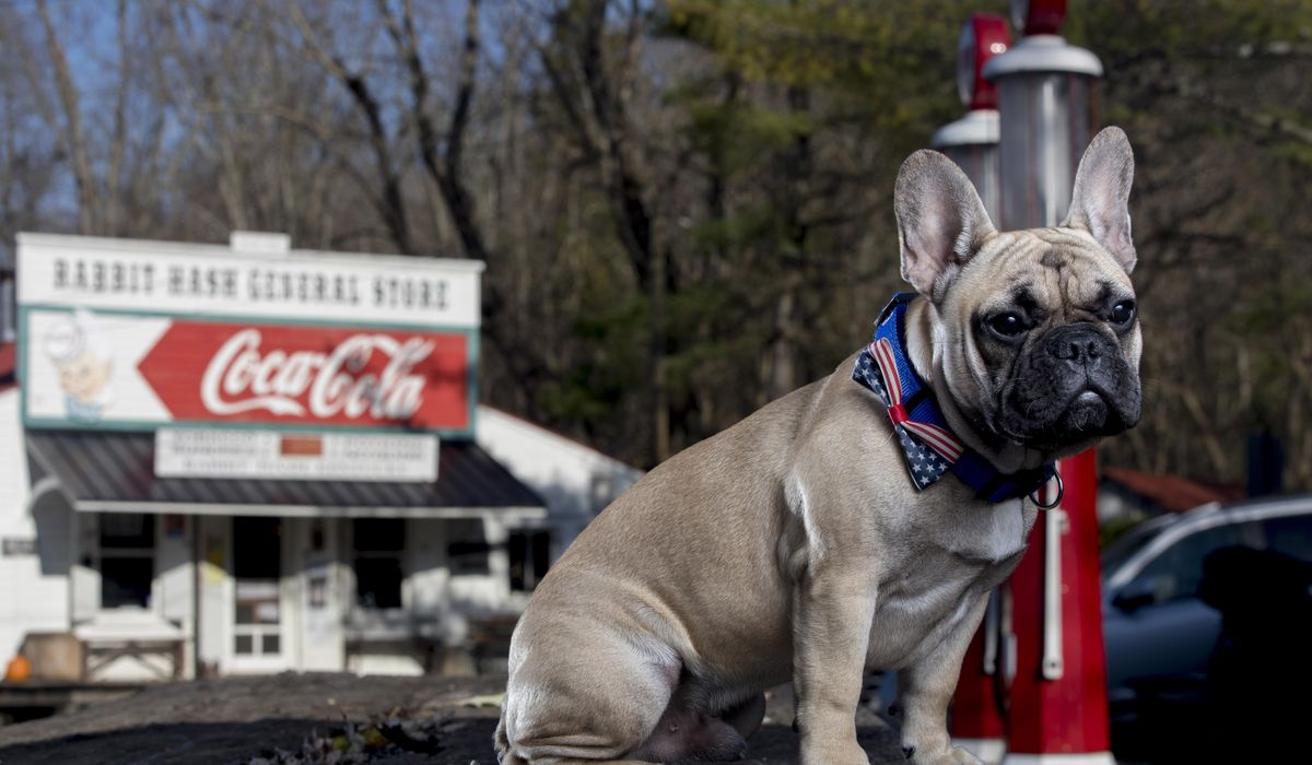NextImg:South Carolina man shot and killed after meeting up via Facebook Marketplace to sell bulldog