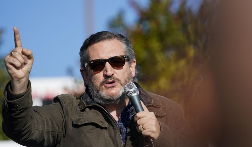 Sen. Ted Cruz, R-Texas, speaks at a campaign rally for Sen. Kelly Loeffler, R-Ga., on Saturday, Jan. 2, 2021, in Cumming, Ga. (AP Photo/Brynn Anderson)