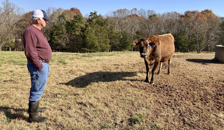 L.D. Peeler stands in one of the pastures at Milky Way Farm in Starr, S.C., on Dec. 11, 2020. Peeler said the grocery concerns during the COVID-19 pandemic sparked interest in the farm's products, and he hasn't seen sales drop even though store shelves are stocked. (Caitlin Herrington/The Independent-Mail via AP)