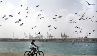Seagulls fly as a man rides his bicycle in front of the Port on the Red Sea, in Jiddah, Saudi Arabia, Sunday, Dec. 27, 2020. (AP Photo/Amr Nabil)
