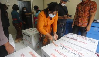 Health workers check the boxes containing coronavirus vaccines developed by China&#39;s Sinovac Biotech as they arrived in Bali, Indonesia on Thursday, Jan. 7, 2021. (AP Photo/Firdia Lisnawati)