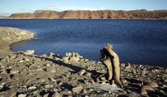 A tree root is exposed on the beach, Wednesday, Dec. 23, 2020, as the water levels of the Alcova Reservoir are lowered in Alvoca, Wyo. The Bureau of Reclamation lowers the water 10 feet each winter to prevent ice from forming at the irrigation diversion structure&#x27;s headgate, but in October, the bureau lowered the water another 29 feet below the normal winter operating level for repairs, exposing parts of the lake bottom rarely seen. (Cayla Nimmo/The Casper Star-Tribune via AP)