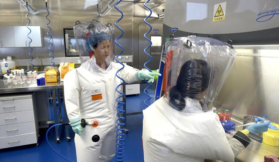 In this Feb. 23, 2017, photo, Shi Zhengli works with other researchers in a lab at the Wuhan Institute of Virology in Wuhan in central China&#39;s Hubei province. (Chinatopix via AP) **FILE**