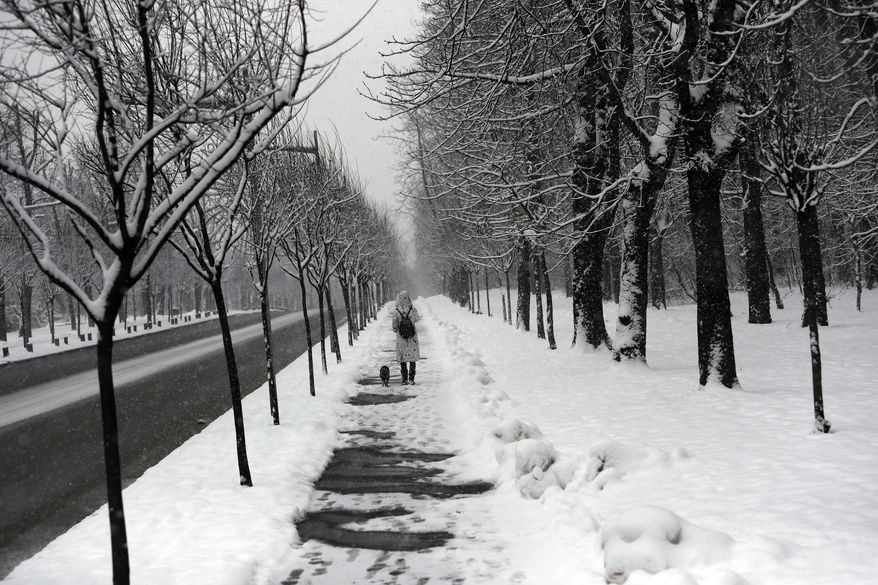 A woman with a dog walks through a snow covered street in Belgrade, Serbia, Sunday, Jan. 17, 2021. MMeteorologists predict sub zero temperatures in Serbia throughout the coming week. (AP Photo/Darko Vojinovic)